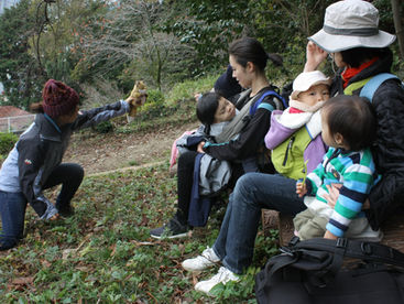 2017.11.14 秋のお山で色をあつめて