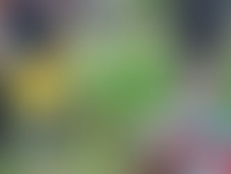 2019.8.20 原っぱいっぱいバッタさん