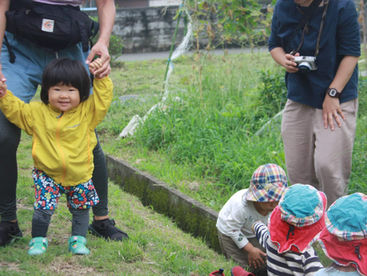 2019.8.20 原っぱいっぱいバッタさん