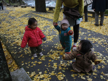 2017.11.20 真っ赤なもみじ、黄色のイチョウ