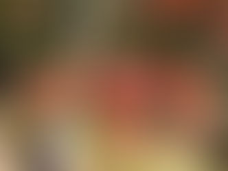 2022.11.11渓谷さんぽと葉っぱのアート