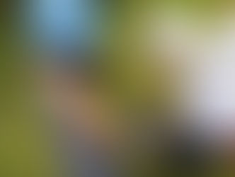 2020.9.2 かもしか/井戸水あそび