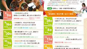 外遊び型子育て広場/青梅はらっぱ