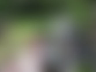 2018.6.27 種まきとそうめんつるつる