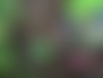 2021.7.30 ドキドキ川遊び