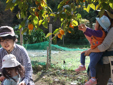 2018.10.24 秋の味覚を収穫してみよう