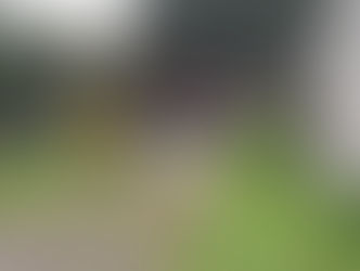 2020.7.29 かもしか/里山バッタあめさんぽ