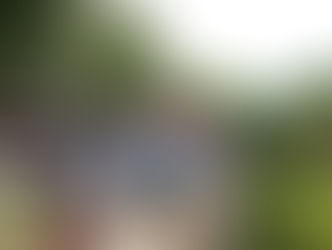 2020.10.6 かえる/秋のおやま登りとやまびこヤッホー!