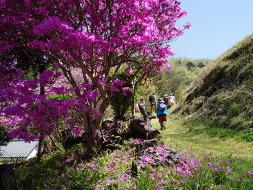 2021.4.7 ぽかぽかおやまの原っぱ