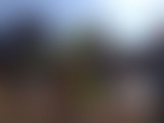 2022.12.10 冬の実りと里山あそび