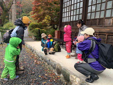 2019.11.22 竹藪と冷たい雨さんぽ
