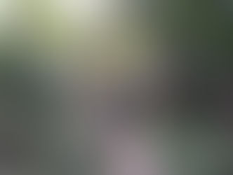 2020.10.28 かもしか/ぐるぐるまわり!