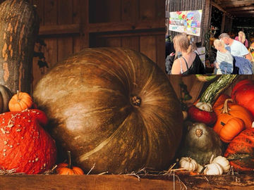 🎃 Dýňobraní na statku u Novotných