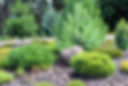 iStock_000042954958_Double.jpg