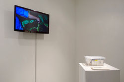 KakaoTalk_20160327_165300002