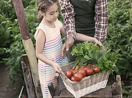 Child Carrying Vegetables