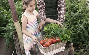 Child Carrying Vegetables