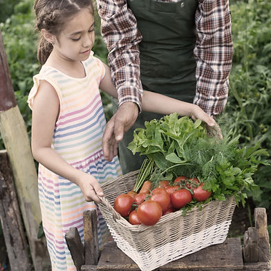 Laboratorio de Diseño Sistentable