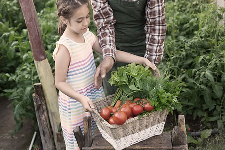 Harvesting Fresh Produce