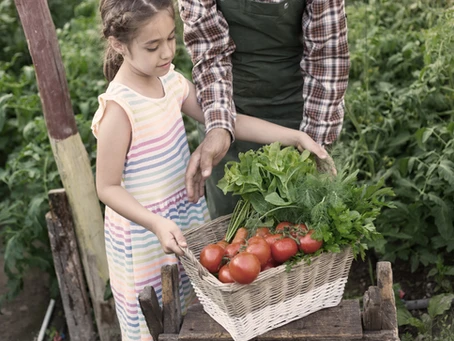 Support our students at the seasonal garden market