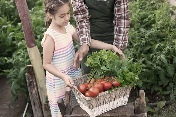 Support our students at the seasonal garden market