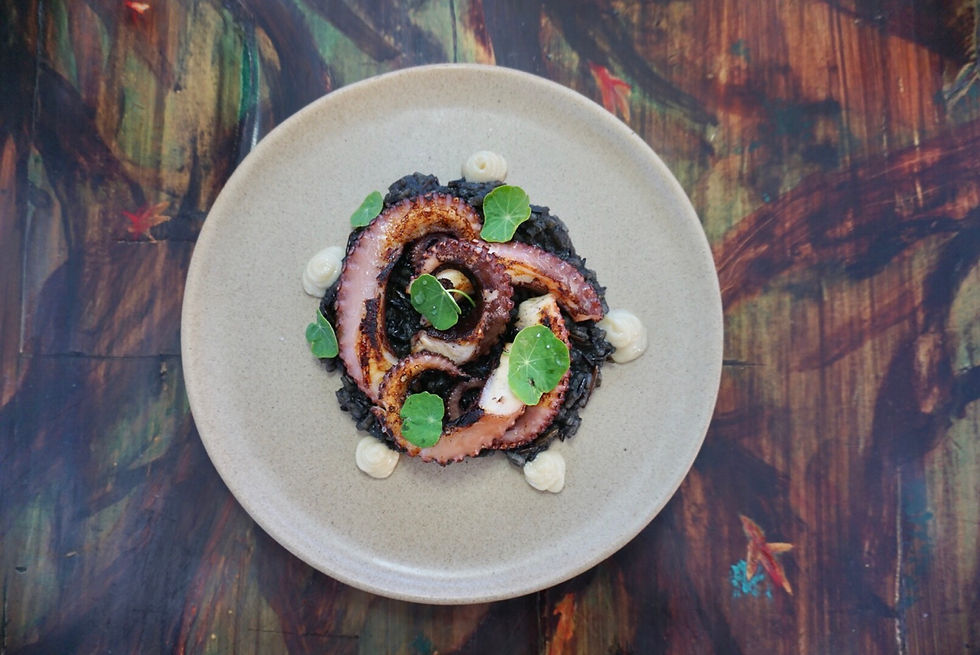 FUEGO COCINA DEL VALLE. FOOD. DINNER. BAJA WINE COUNTRY. MEXICO. RESTAURANT. PLATE. FARM TO TABLE. DELICIOUS. OCTOPUS. PULPO. SEAFOOD. BLACK INK RICE.