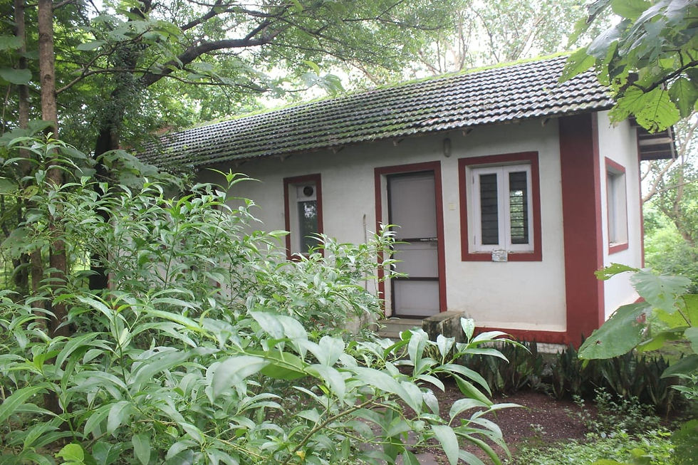 Minimalist Green Room