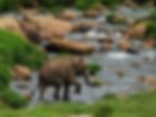 278983167Parambikulam.jpg