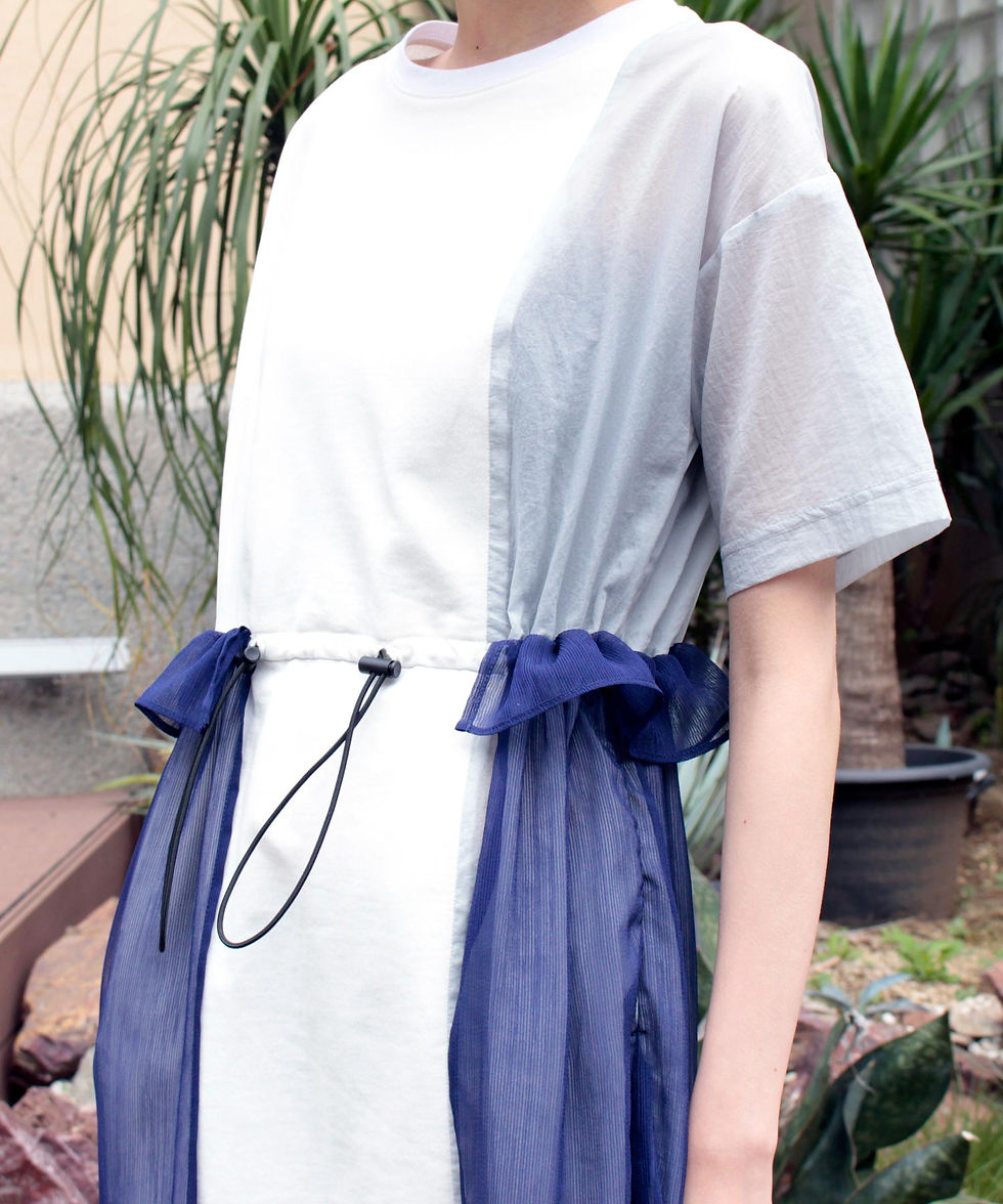 サムネイル： Tulle pleated dress