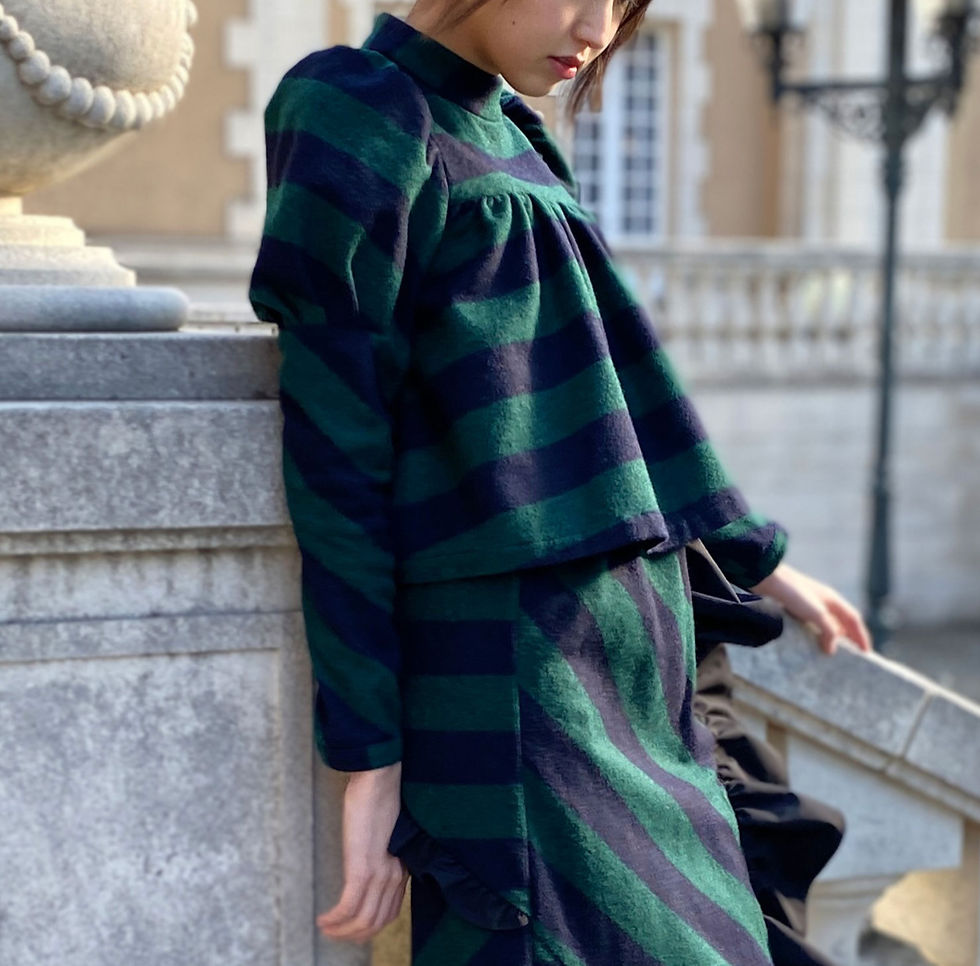 サムネイル： Elephant sleeve border pullover(製品)