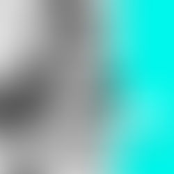 ¨El Derecho de la Moda: la forma de protección de la industria¨