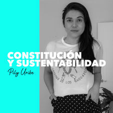 Constituyente electos y medioambiente