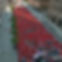 Rally NYC.jpg