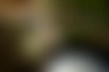 Rękawiczki nitrylowe czy lateksowe? Co jest lepsze do warsztatu?