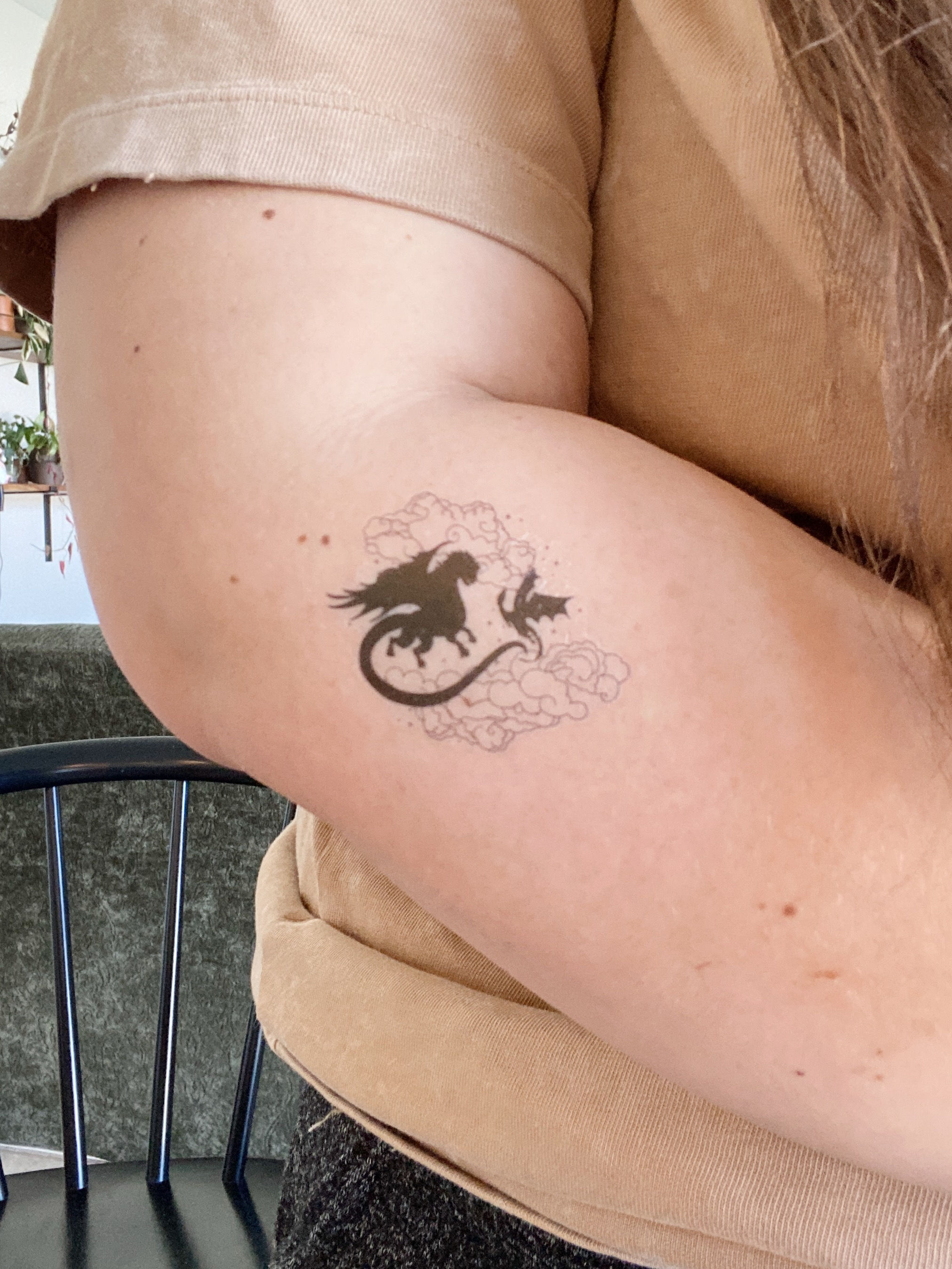 Fourth Wing Dragons | Temporary Tattoo