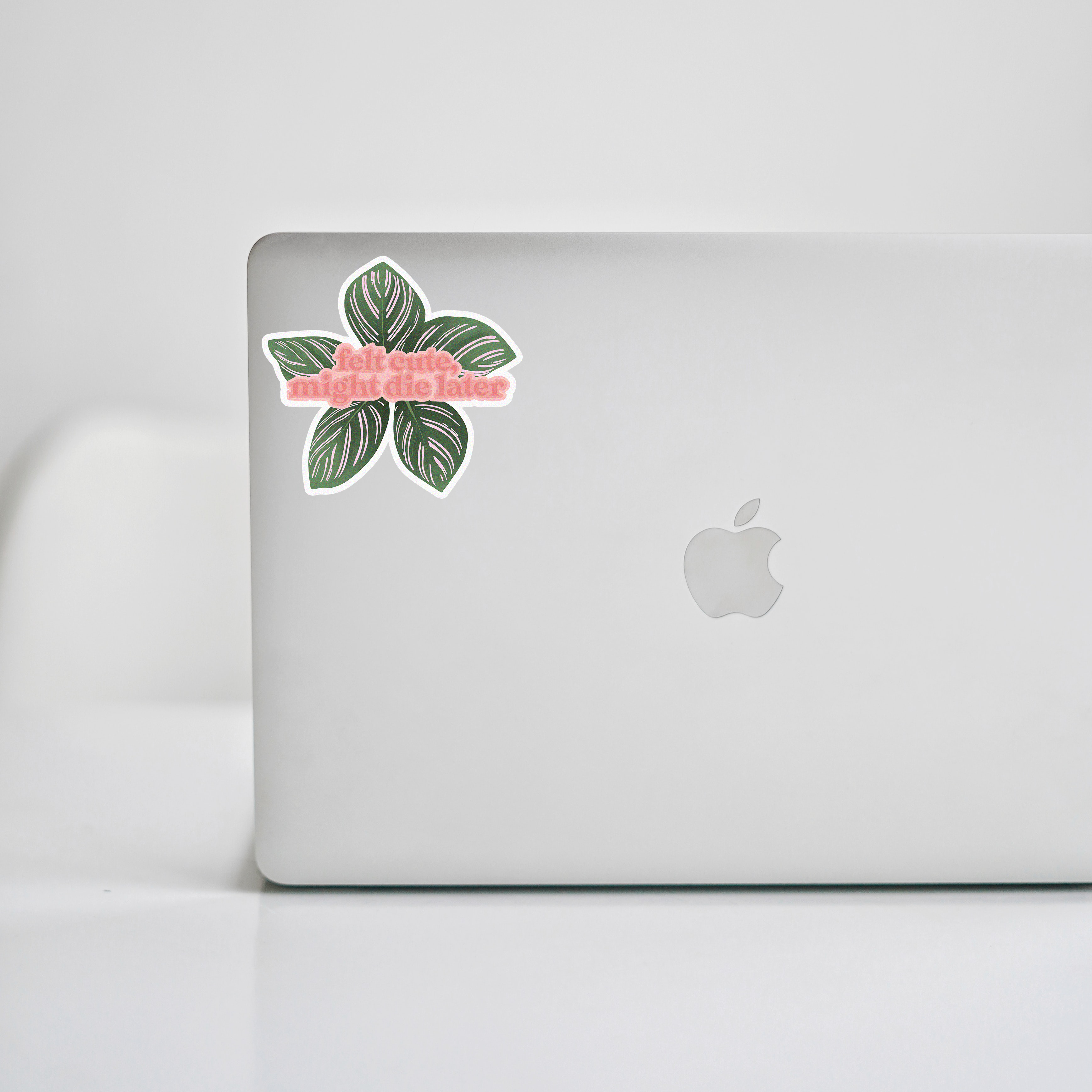 Felt Cute, Might Die Later Calathea | Sticker