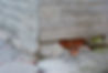 shutterstock_597719978.jpg