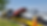 20180529_120352-1.webp