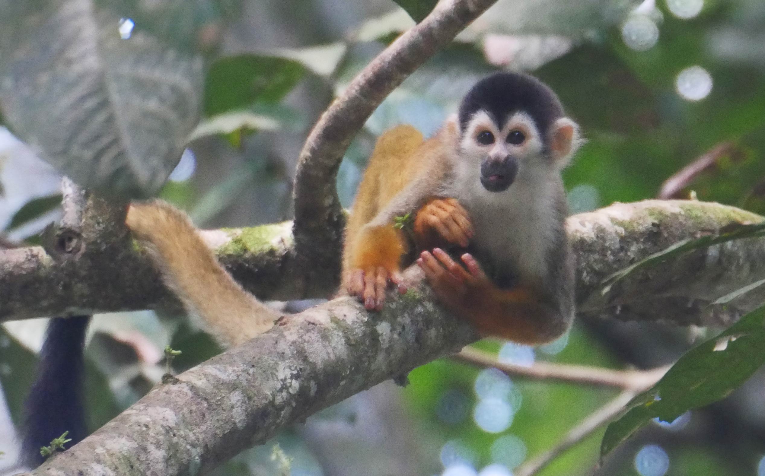 ACTIVIDADES EN LA NATURALEZA