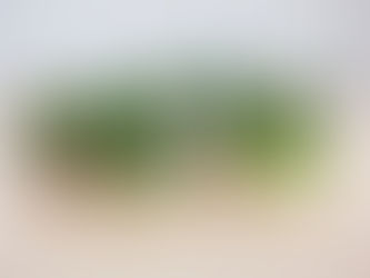 All we want for Christmas