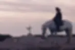 Animale