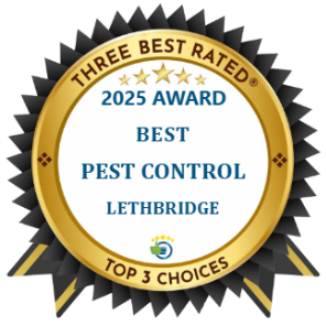 Best Pest Control Lethbridge