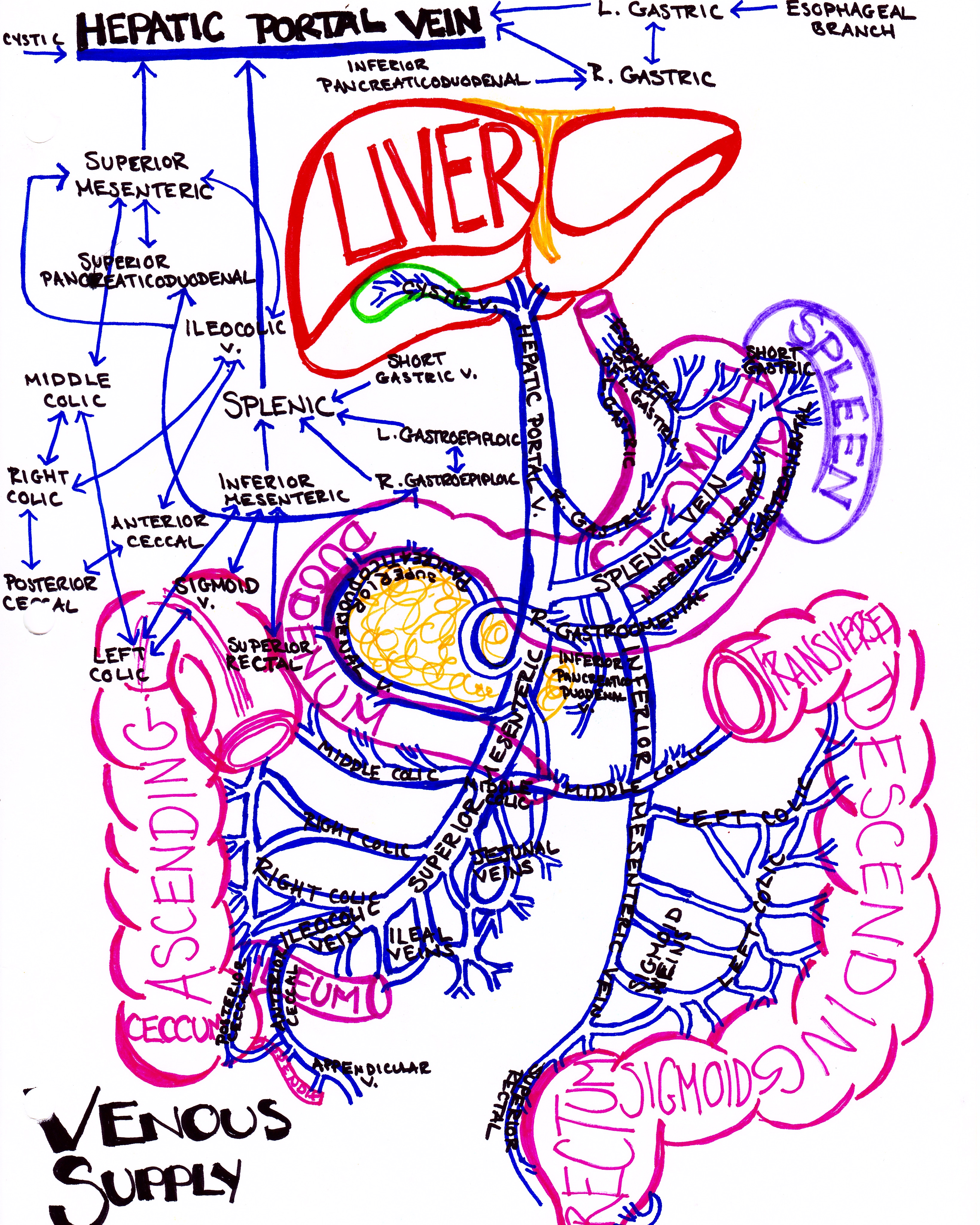 Medical study guide by emDOCS