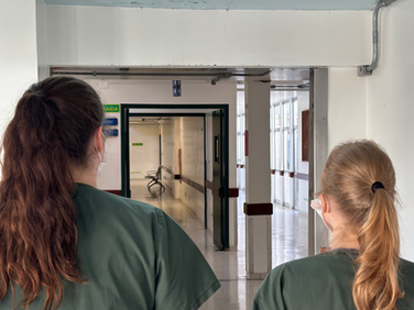 Inscrições para o Edital de Residência Multiprofissional e Uniprofissional do HRO-ALVF estão abertas