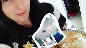 Feliz Aniversário ou Aniversário Feliz?