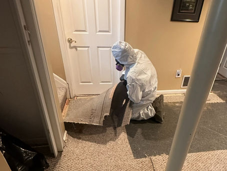 What Is Suicide Cleanup and Who Is Responsible for It?