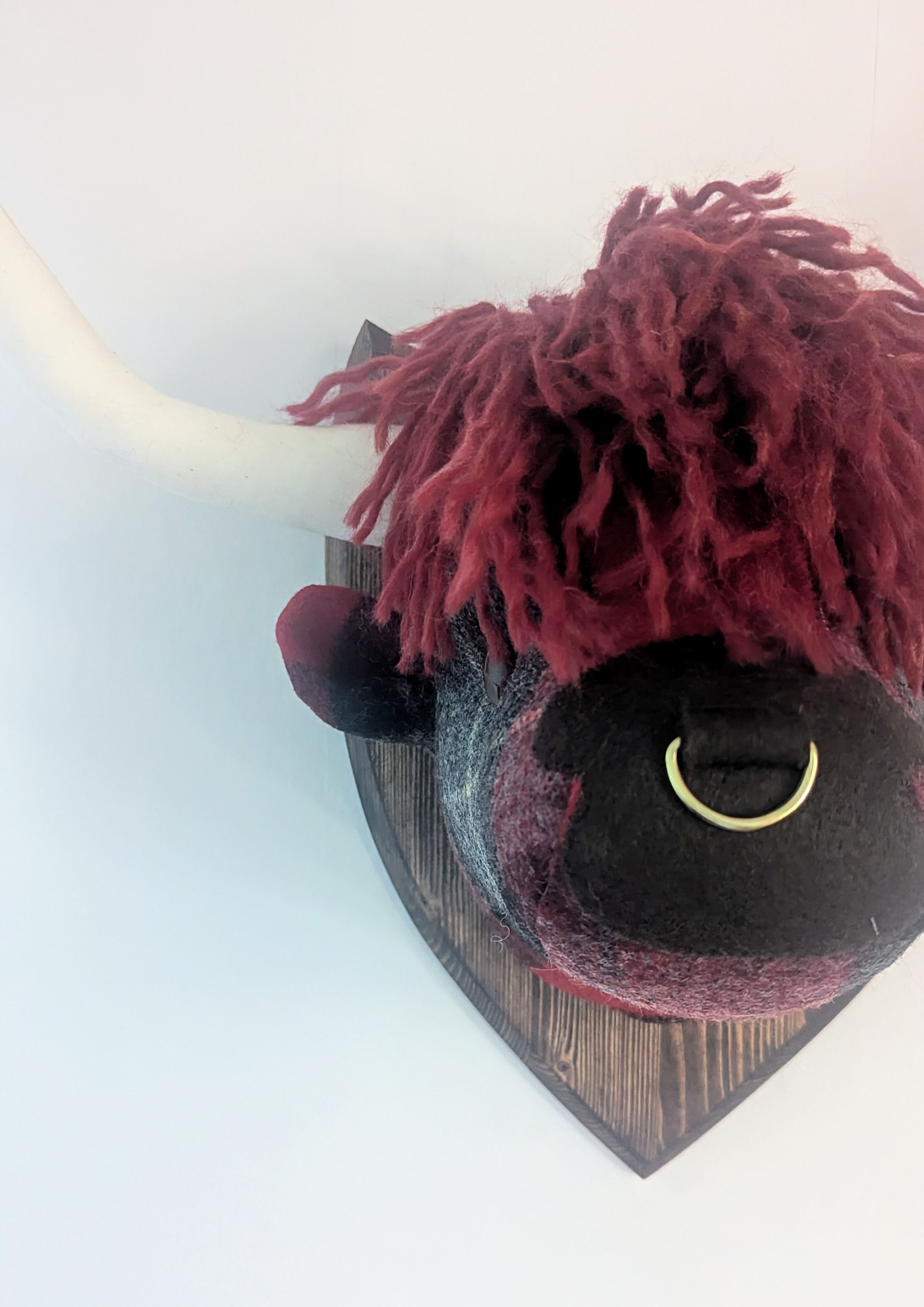Coo Mounted Highland Cow Head - Isobel