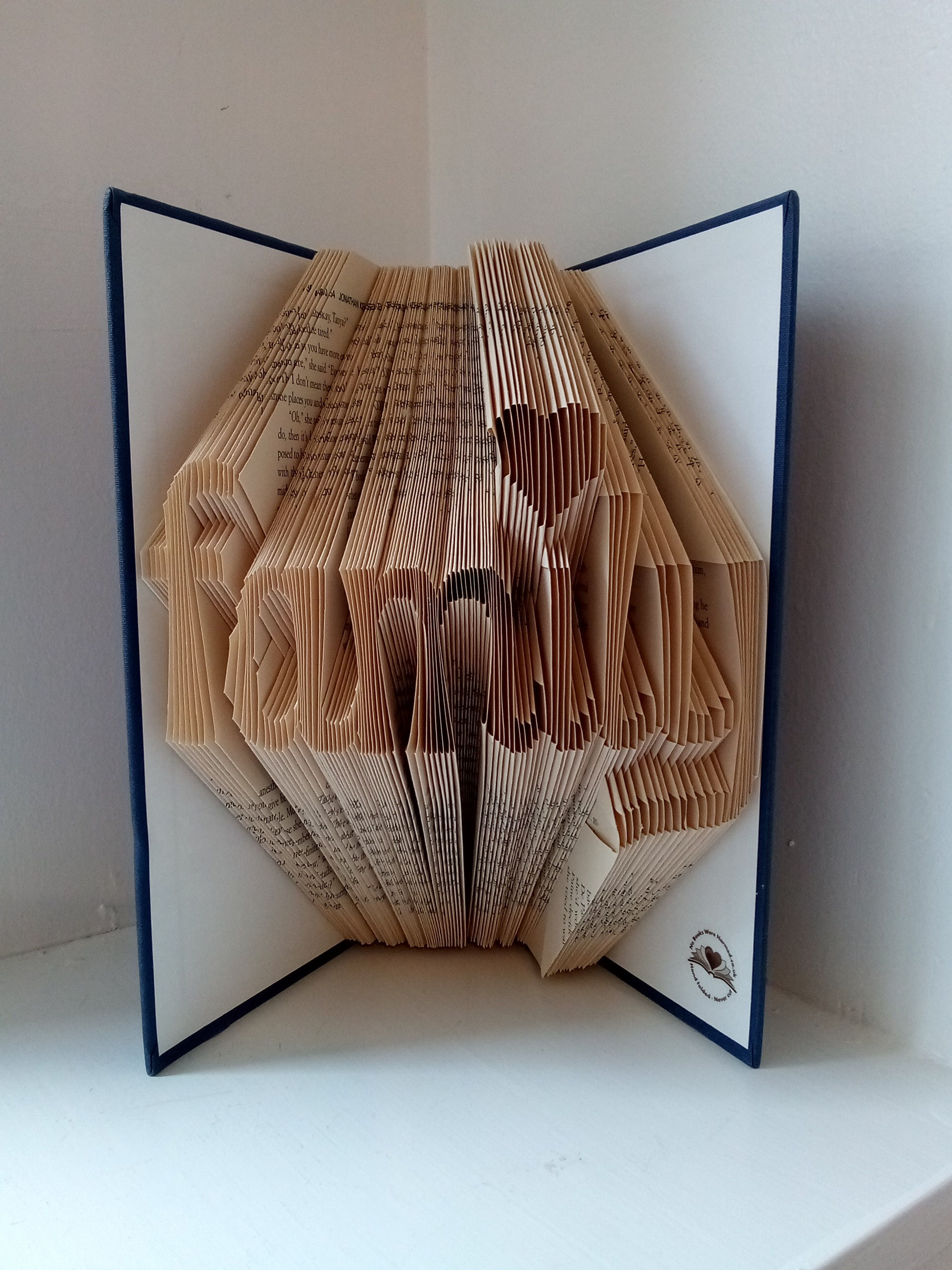 Family Folded Pages Book