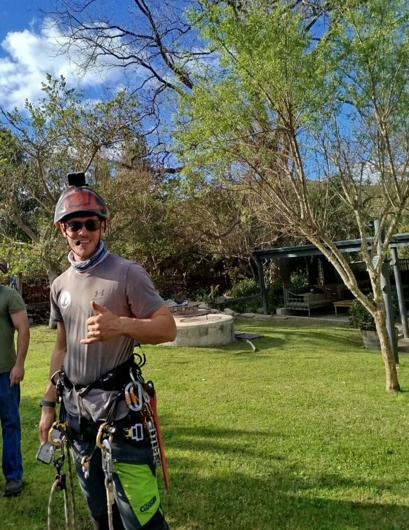 Arborist in full gear