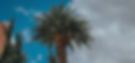 436485776_941406201109289_7639989921369520460_n_edited.jpg